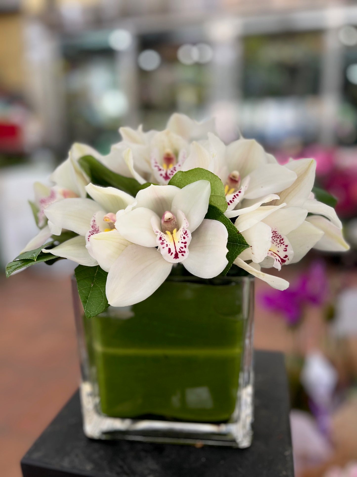 
                    
                      White cymbidium orchid heads in a clear cube with greens - Jerome Florists NYC
                    
                  