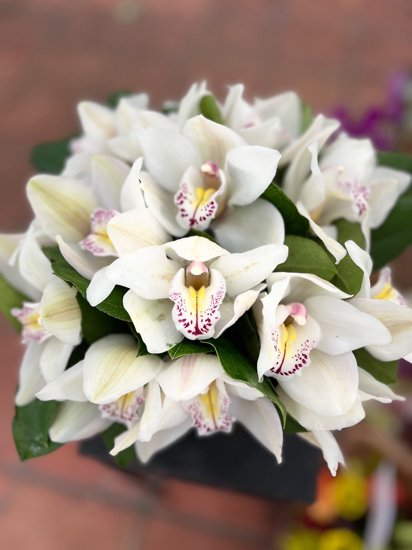 
                    
                      White cymbidium orchid heads in a clear cube with greens - Jerome Florists NYC
                    
                  