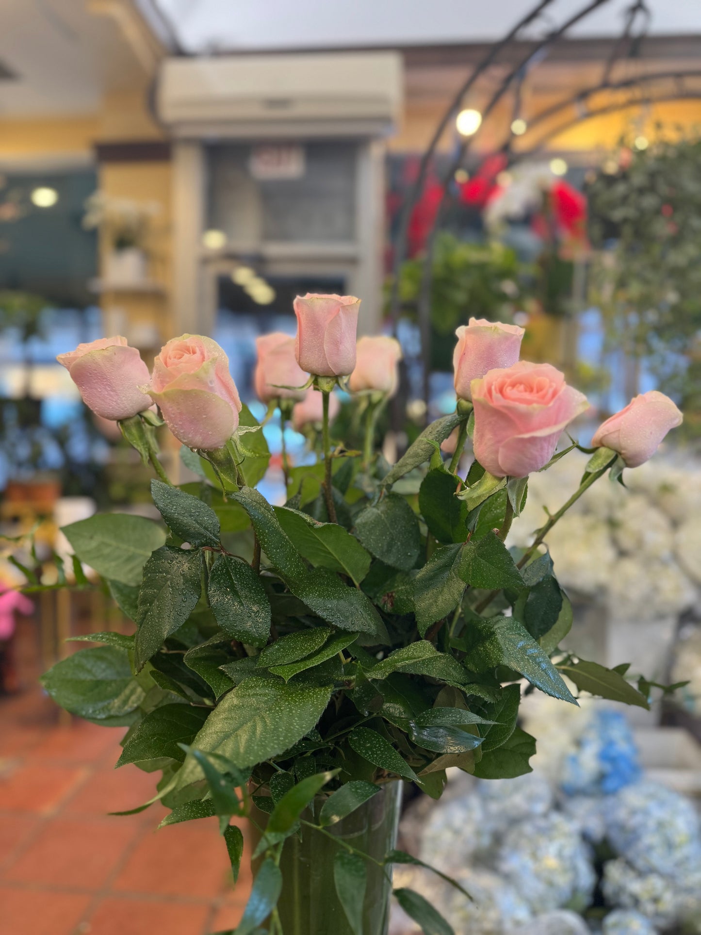 
                    
                      Pink roses 
                    
                  