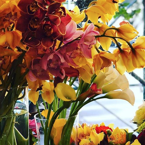 Colored cymbidium orchid heads and calla lilies in window. Jerome Florists NYC