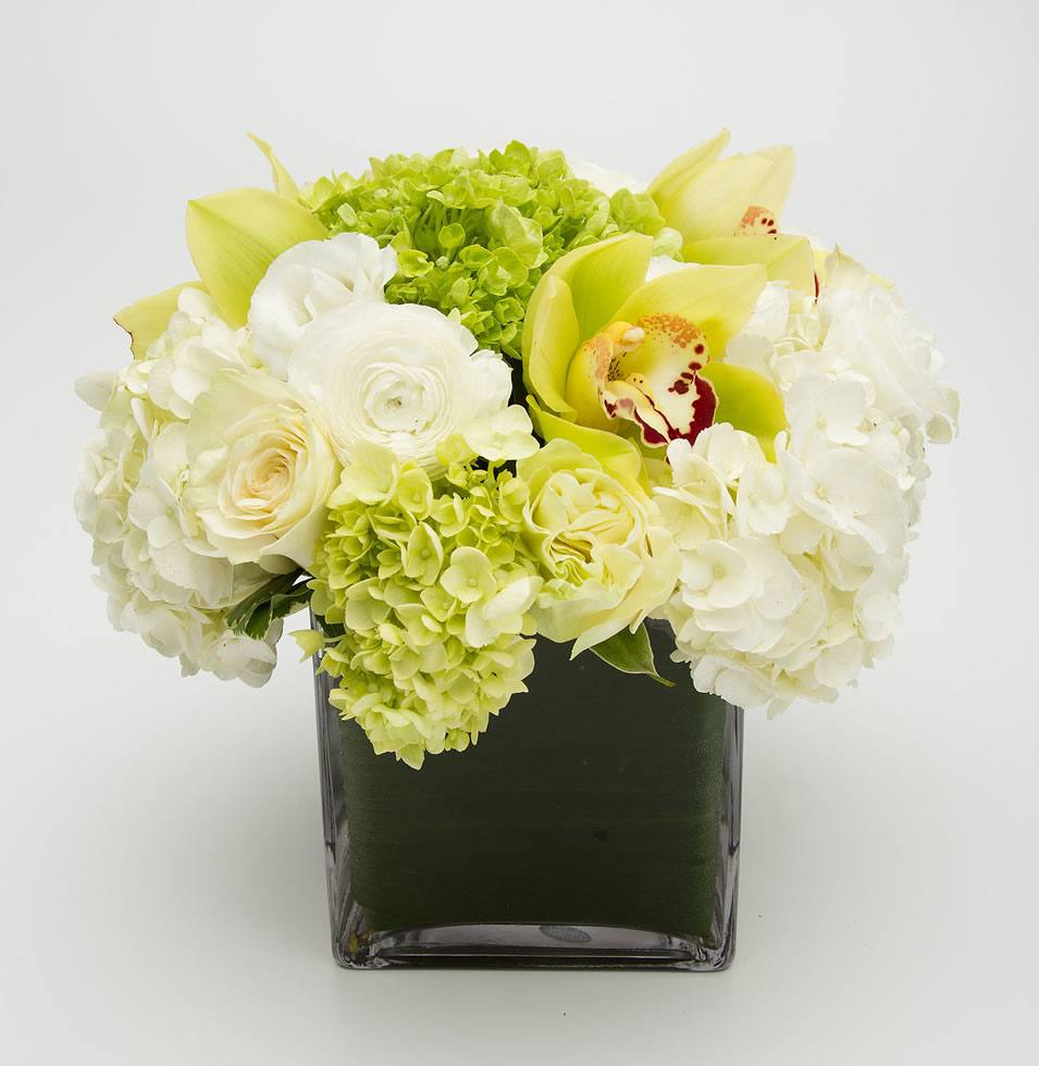 White and green hydrangea rose and orchid cube arrangement – Jerome Florists NYC