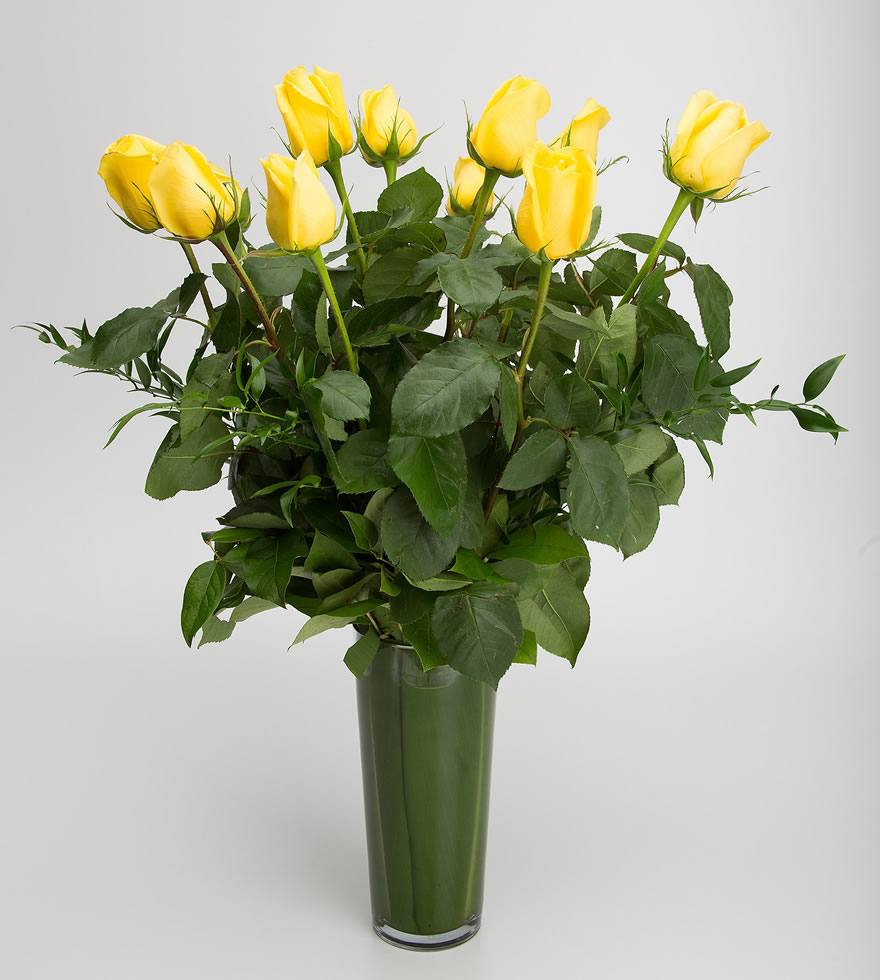 Premium Long Stem Yellow Roses in Vase with Greenery - Jerome Florists NYC