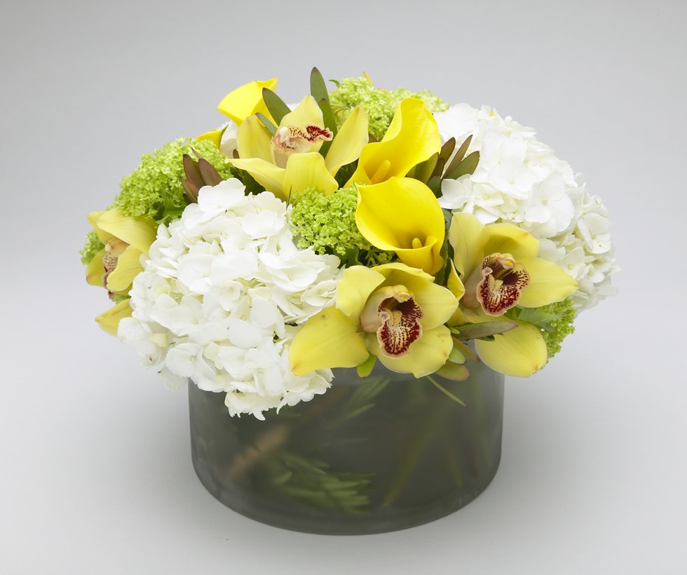 Yellow calla lily cymbidium orchid and hydrangea cylinder arrangement – Jerome Florists NYC