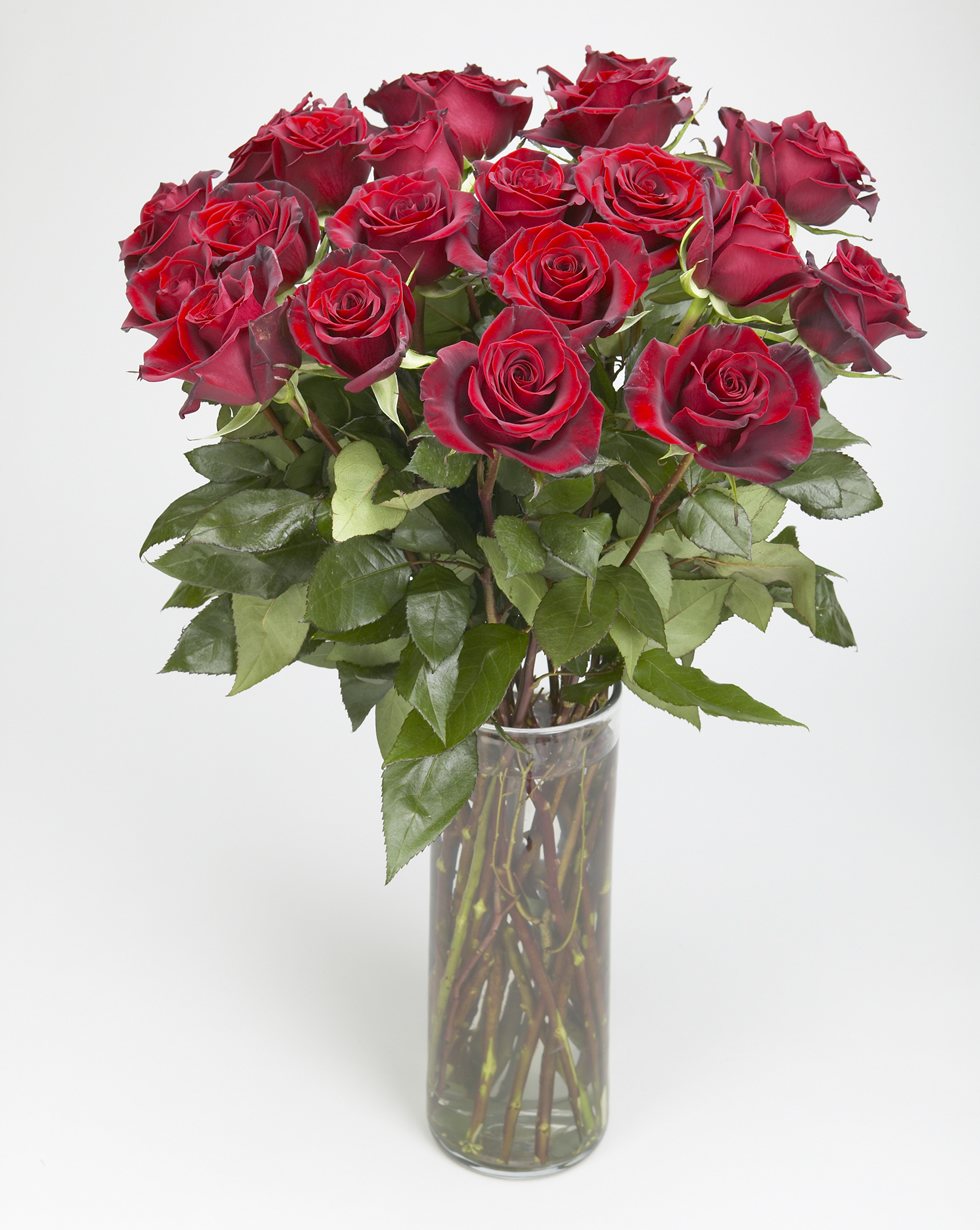 Rose and ranunculus elegant bowl arrangement – Jerome Florists NYC