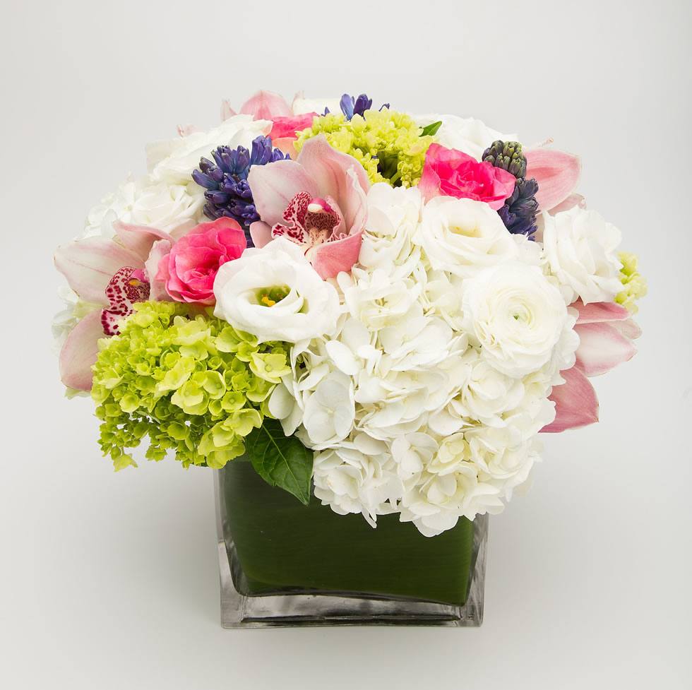 Eliana arrangement of white hydrangea, blush cymbidium orchids, hot pink roses and blue hyacinth in a leaf-lined glass cube