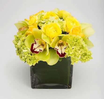 Yellow green ranunculus hydrangea and orchid cube arrangement – Jerome Florists NYC